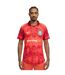 Maillot De Gardien De But Motif/style Puma 25/26 Homme Rouge Vif SE Palmeiras-1