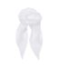 Womens/ladies Chiffon Scarf One Size White Premier-1