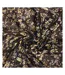 Foulard prune femme kaporal foula-2