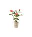 Plante Artificielle en Pot Rosier 39cm Rose