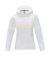 Elevate Life Womens/Ladies Anorak Hooded Half Zip Sweatshirt (White)
