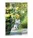 Statuette Déco Grenouille Solaire 22cm Gris-3