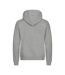 Unisex Adult Miami Hoodie Grey Melange Clique-4