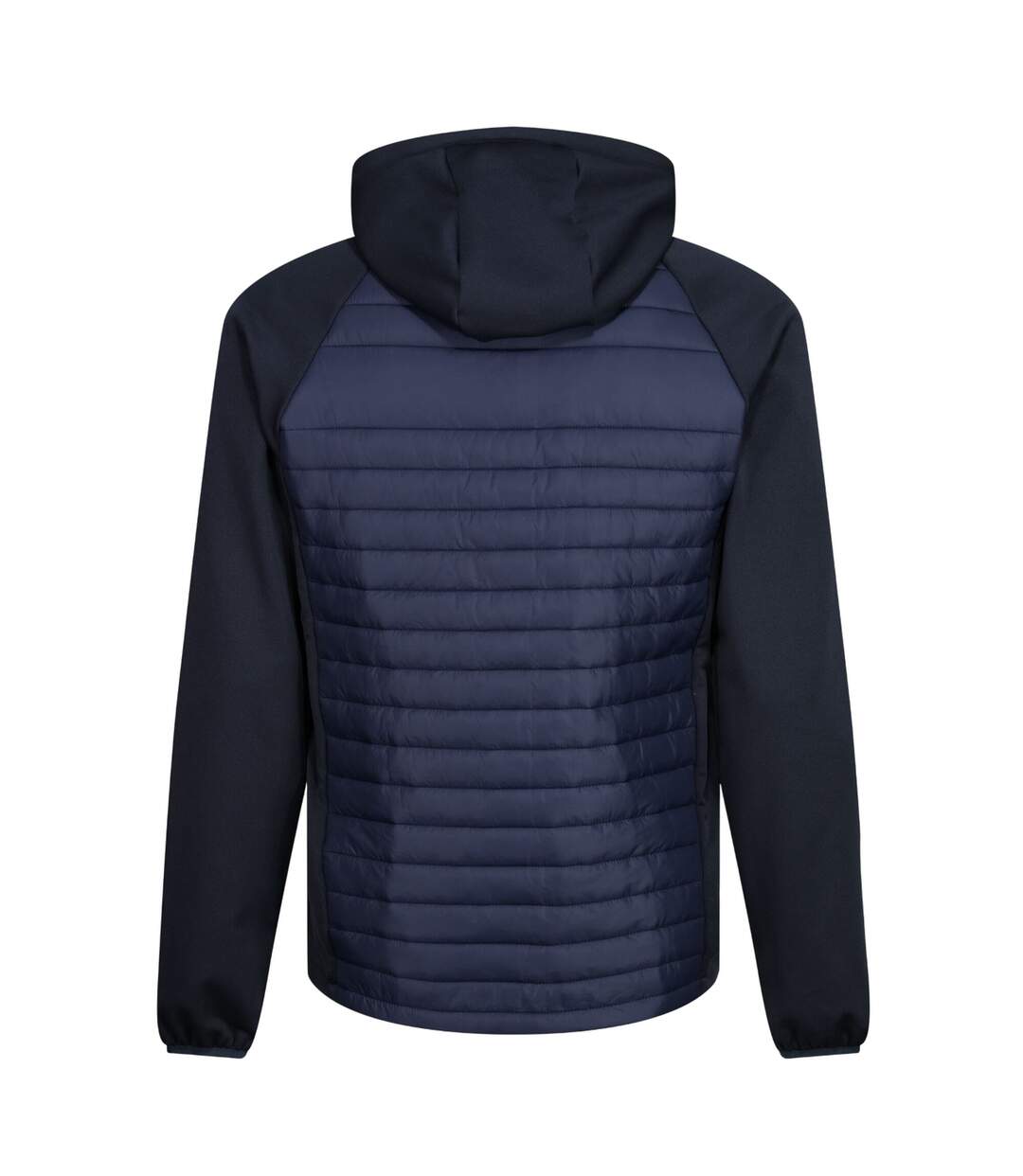 Veste Navigate Hybrid Homme Bleu Marine Gris Phoque Regatta-3