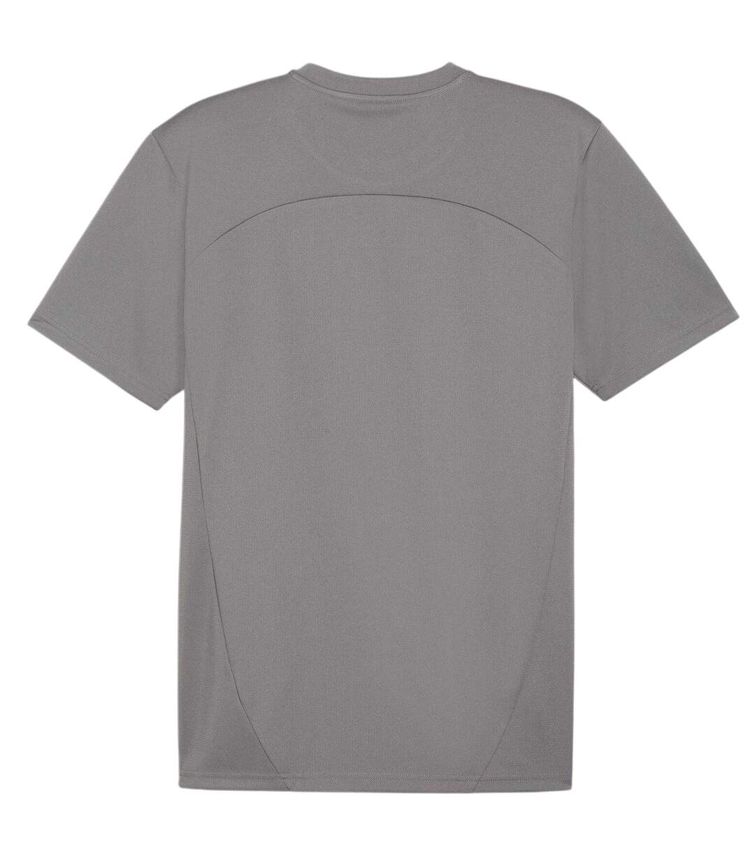 Mens Teamfinal Training T-shirt Iron Puma-3