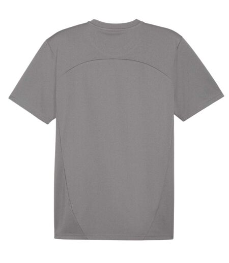 Mens Teamfinal Training T-shirt Iron Puma