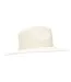 Womens/ladies Brielle Straw Hat Natural Trespass-2