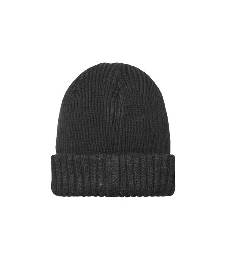 Mens Waterproof Cold Weather Roll Cuff Beanie Hat