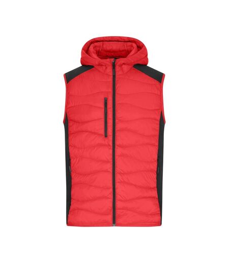 Veste Sans Manches Homme Rouge Noir James And Nicholson