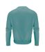Unisex Adult Hopedale Crew Neck Sweatshirt Aloe Green James Harvest-2