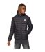 Doudoune Jackinson Homme Noir Kings Will Dream-2