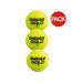 Balles De Tennis Gold Championship Taille Unique Jaune Babolat-1