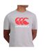 Mens Logo T-shirt Classic Marl Canterbury-4
