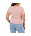 Womens/ladies Ribbed Plus T-shirt Dusty Rose Brave Soul-2