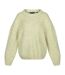 Regatta Womens/Ladies Kaylani Knitted Sweater (Basil Green) - UTRG8082