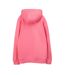 Sweat à capuche rose foncé homme teddy smith nark-2