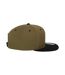 Classic Two Tone Cap Olive Black Flexfit-4