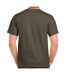 T-shirt homme vert olive Gildan