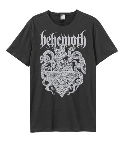 Unisex Adult Death Crest Behemoth T-shirt Charcoal Amplified