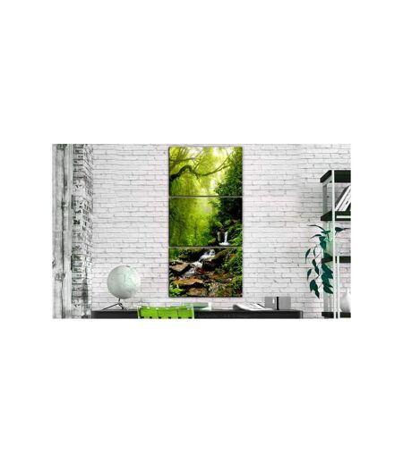 Paris Prix - Tableau Imprimé brook Among Trees 60x120cm