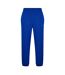 Pantalon De Survêtement Adulte Bleu Lacoste-1