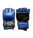 Gants D´entraînement De Boxe Mma Bleu Masters-1