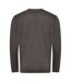 Pull Adulte Charbon Awdis-2