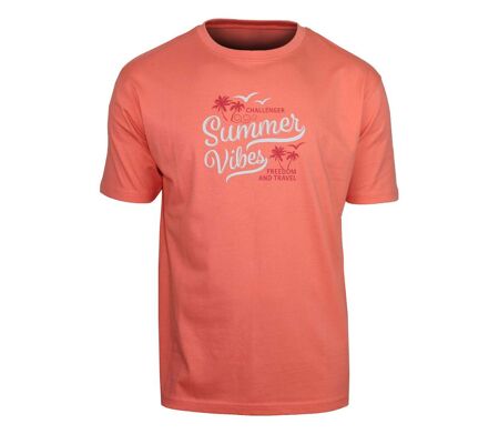 Tee - shirt SAMPA2