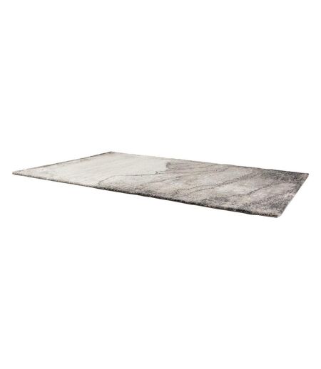 Tapis intérieur en polypropylène Pio 200 x 290 cm