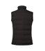 Veste Sans Manches Maxwell Hybrid Homme Noir Brook Taverner-2