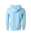 Sweat à Capuche Bleu Homme Teddy Smith nark Hoody - L