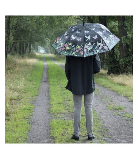 Parapluie oiseau couleurs changeantes