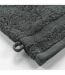 Lot de 2 Gants de Toilette Elegance 15x21cm Anthracite-2