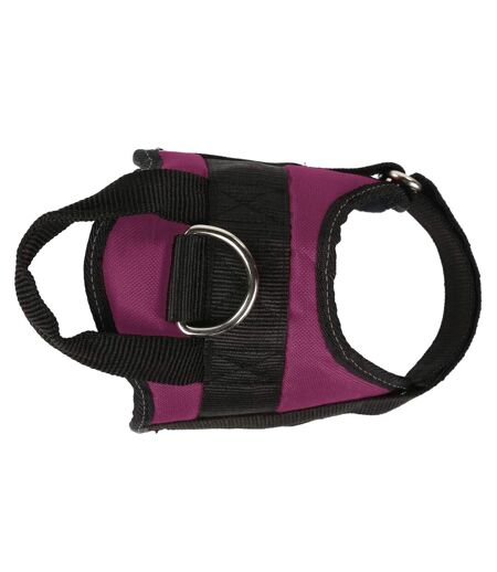 Regatta Reflective Dog Harness (Azalia) (S) - UTRG4489