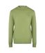 Mens Faded Crew Neck Sweatshirt Olive Green Tommy Hilfiger-1