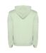Sweat À Capuche Urban Homme Vert Brume Roly-2