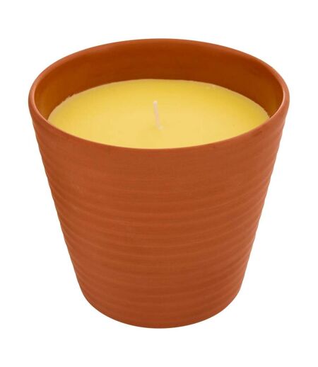 Bougie Parfumée en Terre Cuite Terry 200g Citronnelle