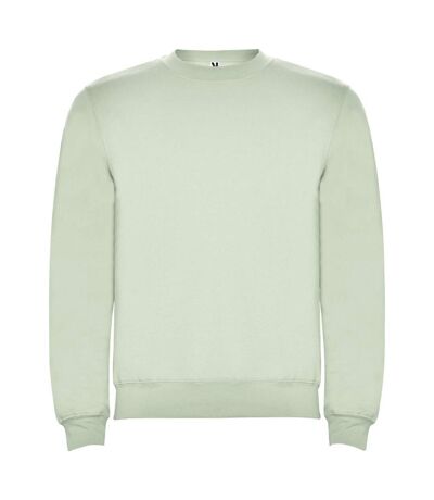 Sweat clasica adulte vert brume Roly