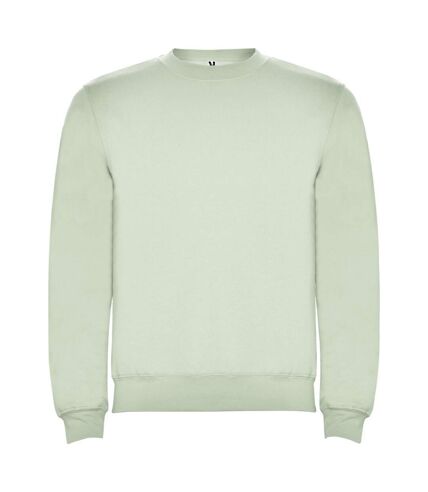 Sweat clasica adulte vert brume Roly