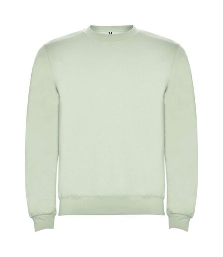 Sweat clasica adulte vert brume Roly