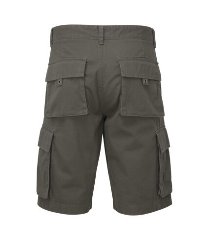 Asquith & Fox Mens Cargo Shorts (Slate) - UTRW7678