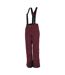 Womens/ladies Diminish Insulated Ski Trousers Fig Dare 2B-3