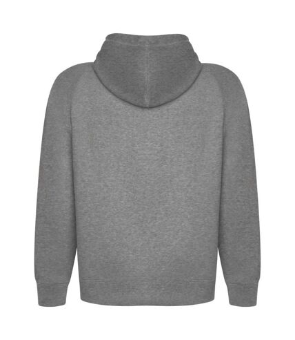 Unisex adult vinson hoodie grey marl Roly