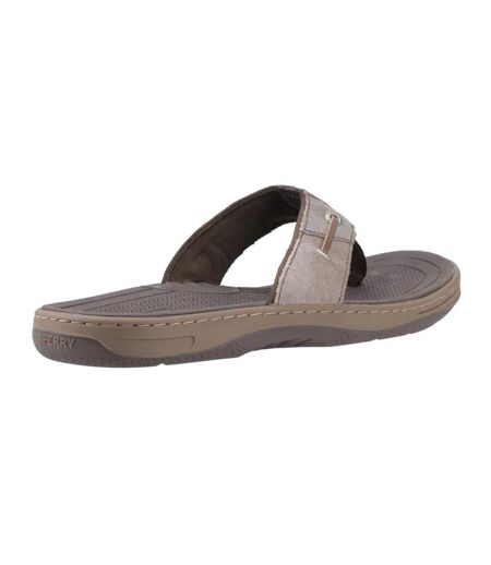 Womens/ladies batfish leather flip flops brown Sperry