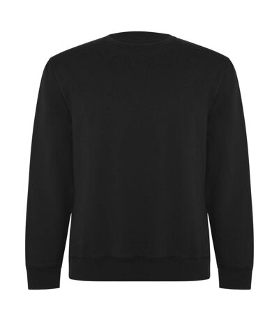Roly Unisex Adult Batian Crew Neck Sweatshirt (Solid Black)