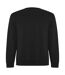 Roly Unisex Adult Batian Crew Neck Sweatshirt (Solid Black)