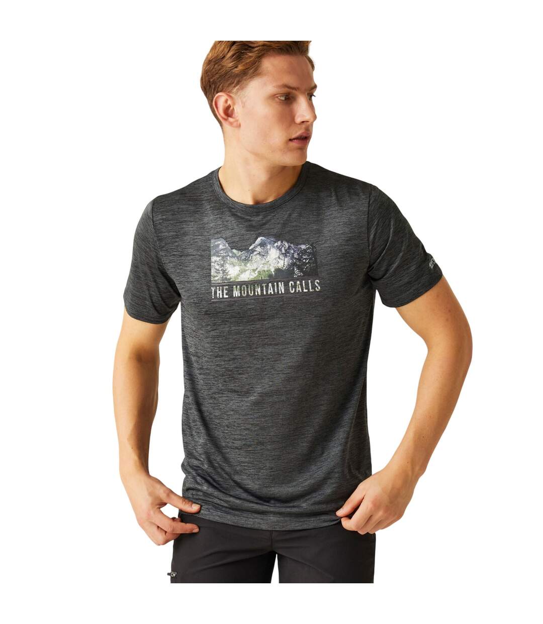 Mens Fingal Viii Mountain Marl T-shirt Seal Grey Regatta-4