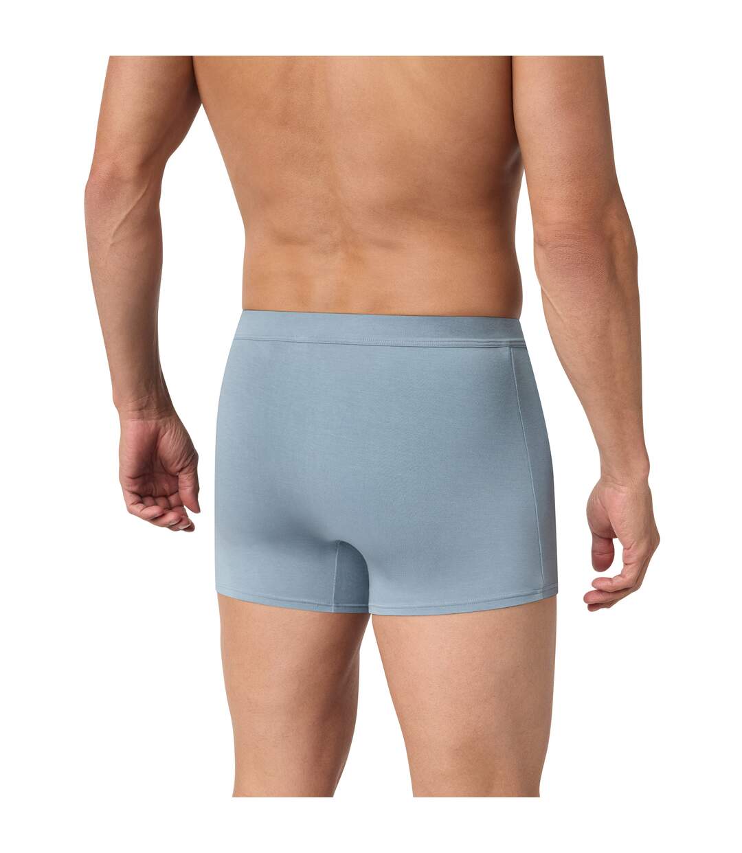 Boxer Gentleman-2