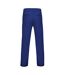Asquith & Fox Mens Classic Casual Chinos/Trousers (Royal) - UTRW3473-2