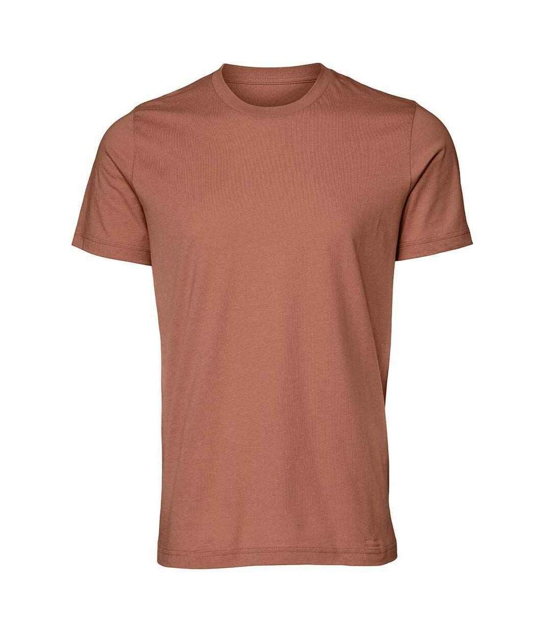 Bella + Canvas - T-shirt - Unisexe (Terre cuite) - UTPC3869-1